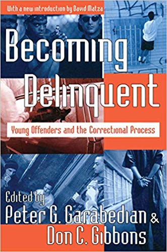 خرید و دانلود نسخه کامل کتاب Becoming Delinquent: Young Offenders and the Correctional Process_683c4696e1be2.jpeg خرید و دانلود نسخه کامل کتاب Becoming Delinquent: Young Offenders and the Correctional Process