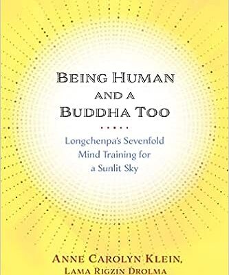 خرید و دانلود نسخه کامل کتاب Being Human and a Buddha Too: Longchenpa’s Seven Trainings for a Sunlit Sky –  +  Pdf