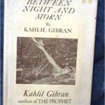 خرید و دانلود نسخه کامل کتاب Between Morn and Night:  A Special Selection (Castle books)