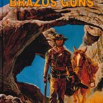خرید و دانلود نسخه کامل کتاب Brazos Guns (A Black Horse Western)