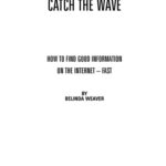 خرید و دانلود نسخه کامل کتاب Catch the wave : how to find good information on the Internet — fast