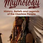 خرید و دانلود نسخه کامل کتاب Choctaw Mythology: History, Beliefs and Legends of the Choctaw People (Easy History) –  +  PDF