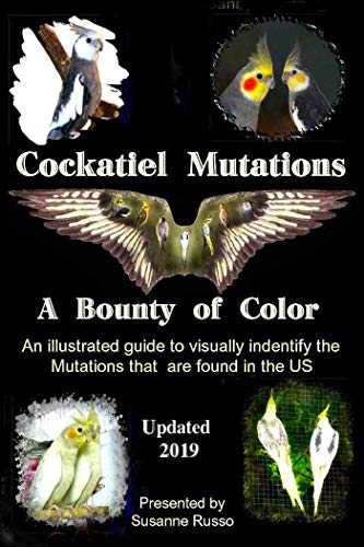 خرید و دانلود نسخه کامل کتاب Cockatiel Mutations: A Bounty of Color – + pdf_683f5bf50f869.jpeg خرید و دانلود نسخه کامل کتاب Cockatiel Mutations: A Bounty of Color – + pdf
