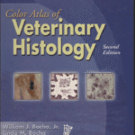 خرید و دانلود نسخه کامل کتاب color atlas of veterinary histology 2th edition –  PDF