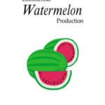 خرید و دانلود نسخه کامل کتاب Commercial Watermelon Production –  PDF