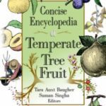 خرید و دانلود نسخه کامل کتاب Concise Encyclopedia of Temperate Tree Fruit –  PDF