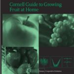 خرید و دانلود نسخه کامل کتاب Cornell Guide to Growing Fruit at Home –  PDF