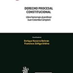 خرید و دانلود نسخه کامل کتاب Derecho Procesal Constitucional (Homenajes y Congresos) (Spanish Edition) –  +  Pdf