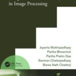 خرید و دانلود نسخه کامل کتاب Digital Geometry in Image Processing