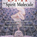 خرید و دانلود نسخه کامل کتاب DMT: The Spirit Molecule: A Doctor’s Revolutionary Research into the Biology of Near-Death and Mystical Experiences –  +  Pdf