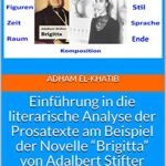 خرید و دانلود نسخه کامل کتاب Einführung in die literarische Analyse der Prosatexte am Beispiel der Novelle “Brigitta” von Adalbert Stifter (German Edition) –  Pdf