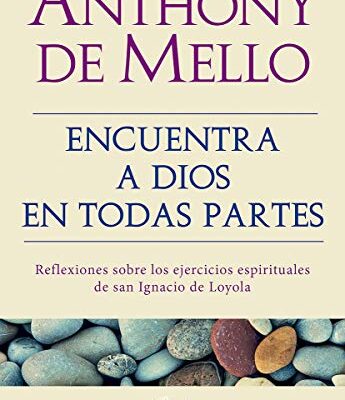 خرید و دانلود نسخه کامل کتاب Encuentra a Dios en todas partes (Spanish Edition) –  +  pdf