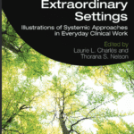 خرید و دانلود نسخه کامل کتاب Family Therapy Supervision in Extraordinary Settings: Illustrations of Systemic Approaches in Everyday Clinical Work –  PDF