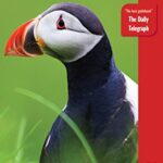 خرید و دانلود نسخه کامل کتاب Faroe Islands (Bradt Travel Guides) –  +  pdf