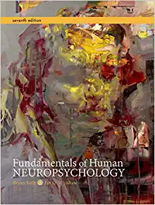 خرید و دانلود نسخه کامل کتاب Fundamentals of Human Neuropsychology (7th Edition) BY Kolb –  Pdf