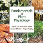خرید و دانلود نسخه کامل کتاب Fundamentals of Plant Physiology BY Lincoln Taiz –  pdf