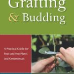 خرید و دانلود نسخه کامل کتاب Grafting and Budding: A Practical Guide for Fruit and Nut Plants and Ornamentals (Landlinks Press) –  PDF