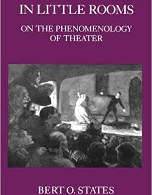 خرید و دانلود نسخه کامل کتاب Great Reckonings in Little Rooms: On the Phenomenology of Theater