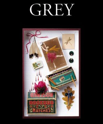 خرید و دانلود نسخه کامل کتاب Grey (Biblioteca Era) (Spanish Edition) – + pdf
