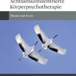 خرید و دانلود نسخه کامل کتاب Hakomi – Achtsamkeitszentrierte Körperpsychotherapie: Theorie und Praxis –  Pdf