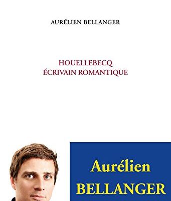 خرید و دانلود نسخه کامل کتاب Houellebecq, écrivain romantique
