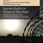 خرید و دانلود نسخه کامل کتاب Human Rights in Times of Transition: Liberal Demacies and Challenges of National Security (The Association of Human Rights Institutes series) –  PDF