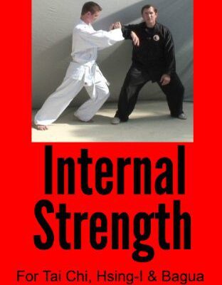 خرید و دانلود نسخه کامل کتاب Internal Strength for Tai Chi, Hsing-I and Bagua –  +  Pdf