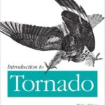 خرید و دانلود نسخه کامل کتاب Introduction to Tornado