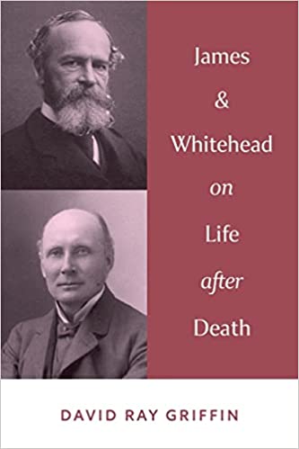 خرید و دانلود نسخه کامل کتاب James and Whitehead on Life after Death – + Pdf_6845ffe337422.jpeg خرید و دانلود نسخه کامل کتاب James and Whitehead on Life after Death – + Pdf