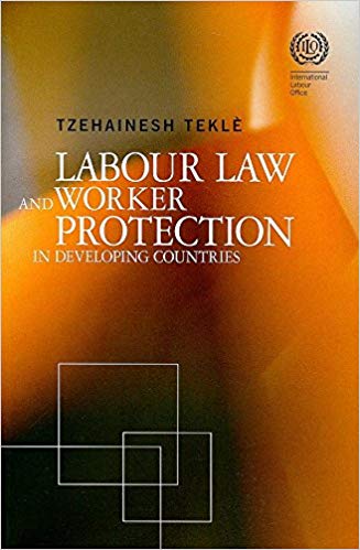 خرید و دانلود نسخه کامل کتاب Labour Law and Worker Protection in Developing Countries_683c4ee16ae3a.jpeg خرید و دانلود نسخه کامل کتاب Labour Law and Worker Protection in Developing Countries