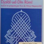 خرید و دانلود نسخه کامل کتاب Le livre du dedans –  Pdf