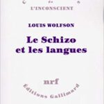 خرید و دانلود نسخه کامل کتاب Le schizo et les langues