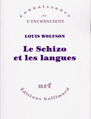 خرید و دانلود نسخه کامل کتاب Le schizo et les langues