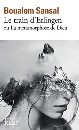 خرید و دانلود نسخه کامل کتاب Le train d’Erlingen ou La métamorphose de Dieu (French Edition) – + Pdf_6844192514c29.jpeg خرید و دانلود نسخه کامل کتاب Le train d’Erlingen ou La métamorphose de Dieu (French Edition) – + Pdf