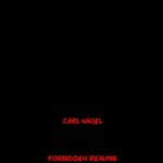 خرید و دانلود نسخه کامل کتاب Luciferian Conjurations and Rituals of the Fallen –  +  pdf