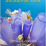 خرید و دانلود نسخه کامل کتاب Más allá de la ascidia de mar: Un viaje con los reflejos (Spanish Edition) –  +  Pdf