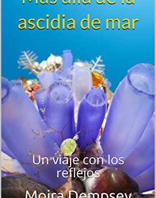 خرید و دانلود نسخه کامل کتاب Más allá de la ascidia de mar: Un viaje con los reflejos (Spanish Edition) –  +  Pdf