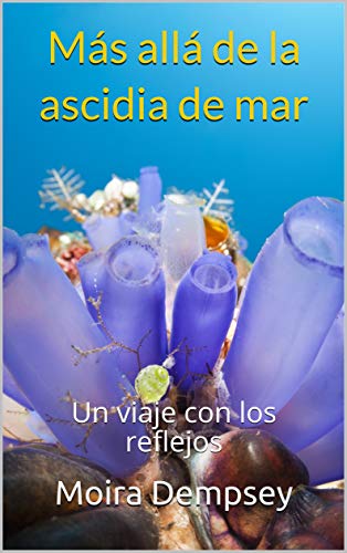 خرید و دانلود نسخه کامل کتاب Más allá de la ascidia de mar: Un viaje con los reflejos (Spanish Edition) – + Pdf_683ebd6b7db9d.jpeg خرید و دانلود نسخه کامل کتاب Más allá de la ascidia de mar: Un viaje con los reflejos (Spanish Edition) – + Pdf