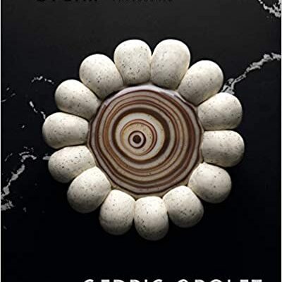 خرید و دانلود نسخه کامل کتاب Opera Patisserie BY Grolet  –  +  pdf