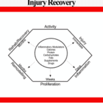 خرید و دانلود نسخه کامل کتاب Optimal Nutrition for Injury Recovery BY McDonald – Pdf