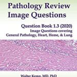 خرید و دانلود نسخه کامل کتاب Pathology Review  Questions: Question Book 1.3 (2020):  Questions covering general pathology, heart, heme, and lung –  PDF