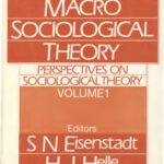 خرید و دانلود نسخه کامل کتاب Perspectives on Sociological Theory, Vol. 1: Macro-Sociological Theory –  PDF