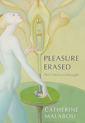 خرید و دانلود نسخه کامل کتاب Pleasure Erased: The Clitoris Unthought –  +  Pdf