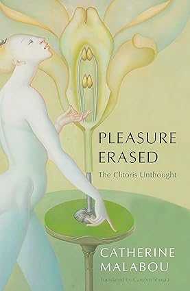 خرید و دانلود نسخه کامل کتاب Pleasure Erased: The Clitoris Unthought – + Pdf_683d58d28851d.jpeg خرید و دانلود نسخه کامل کتاب Pleasure Erased: The Clitoris Unthought – + Pdf