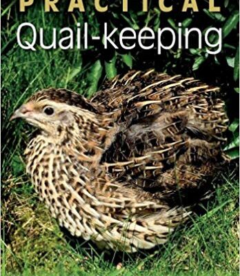 خرید و دانلود نسخه کامل کتاب Practical Quail-keeping