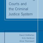 خرید و دانلود نسخه کامل کتاب Problem-Solving Courts and the Criminal Justice System –  PDF
