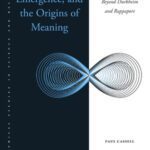 خرید و دانلود نسخه کامل کتاب Religion, Emergence, and the Origins of Meaning:  Beyond Durkheim and Rappaport (Philosophical Studies in Science and Religion)[2015] –  PDF