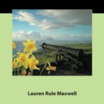 خرید و دانلود نسخه کامل کتاب Romantic Revisions in Novels from the Americas (Comparative Cultural Studies)