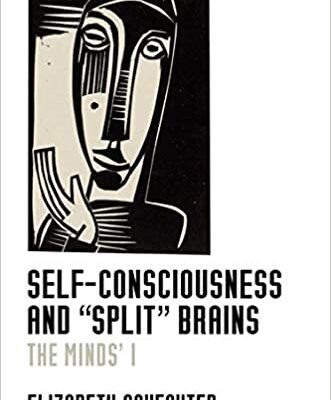 خرید و دانلود نسخه کامل کتاب Self-Consciousness and “Split” Brains: The Minds’ I –  PDF