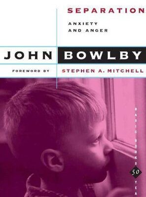 خرید و دانلود نسخه کامل کتاب Separation: Anxiety and Anger –  PDF